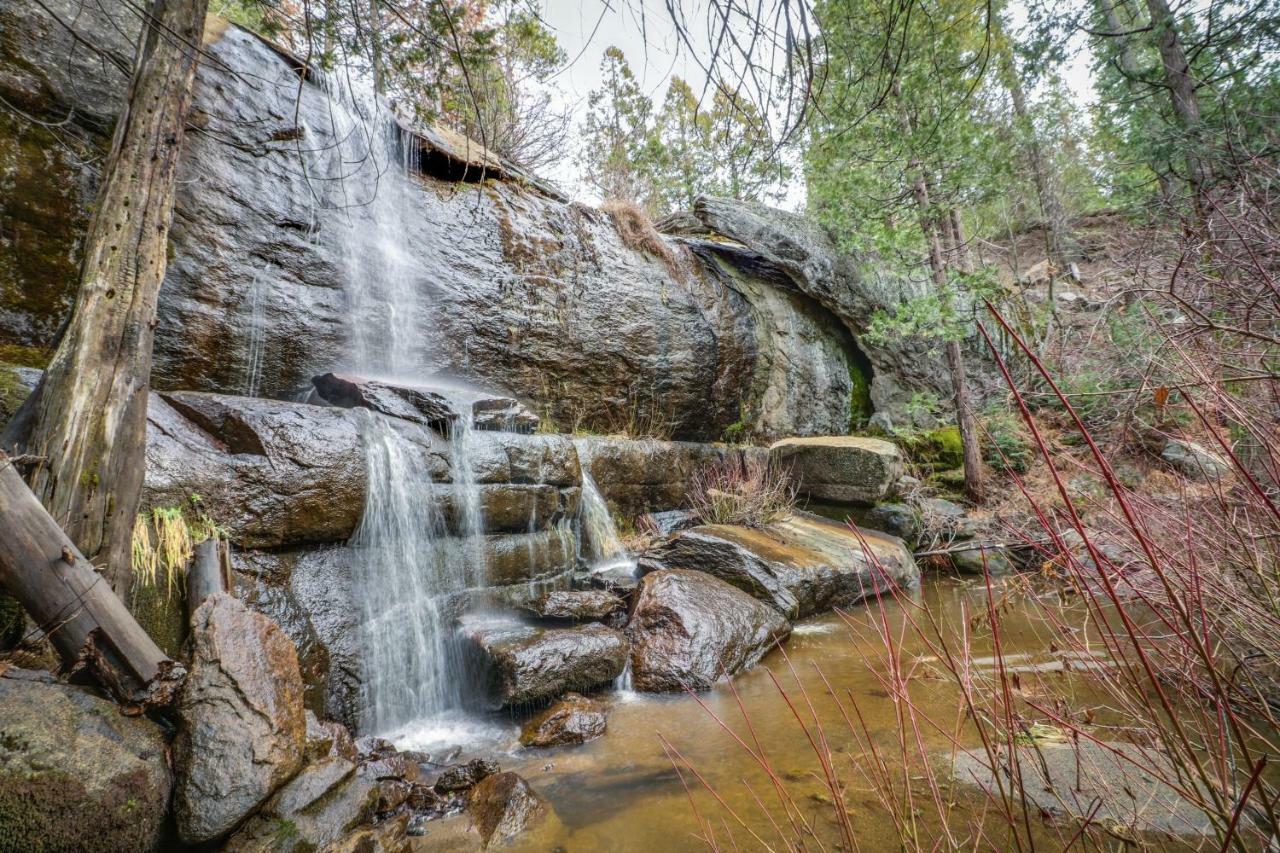 Forest Falls Shaver Lake Luaran gambar